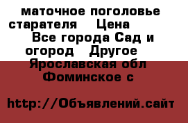 маточное поголовье старателя  › Цена ­ 3 700 - Все города Сад и огород » Другое   . Ярославская обл.,Фоминское с.